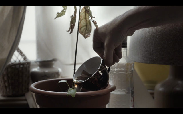 Filmstill «Bajadera»