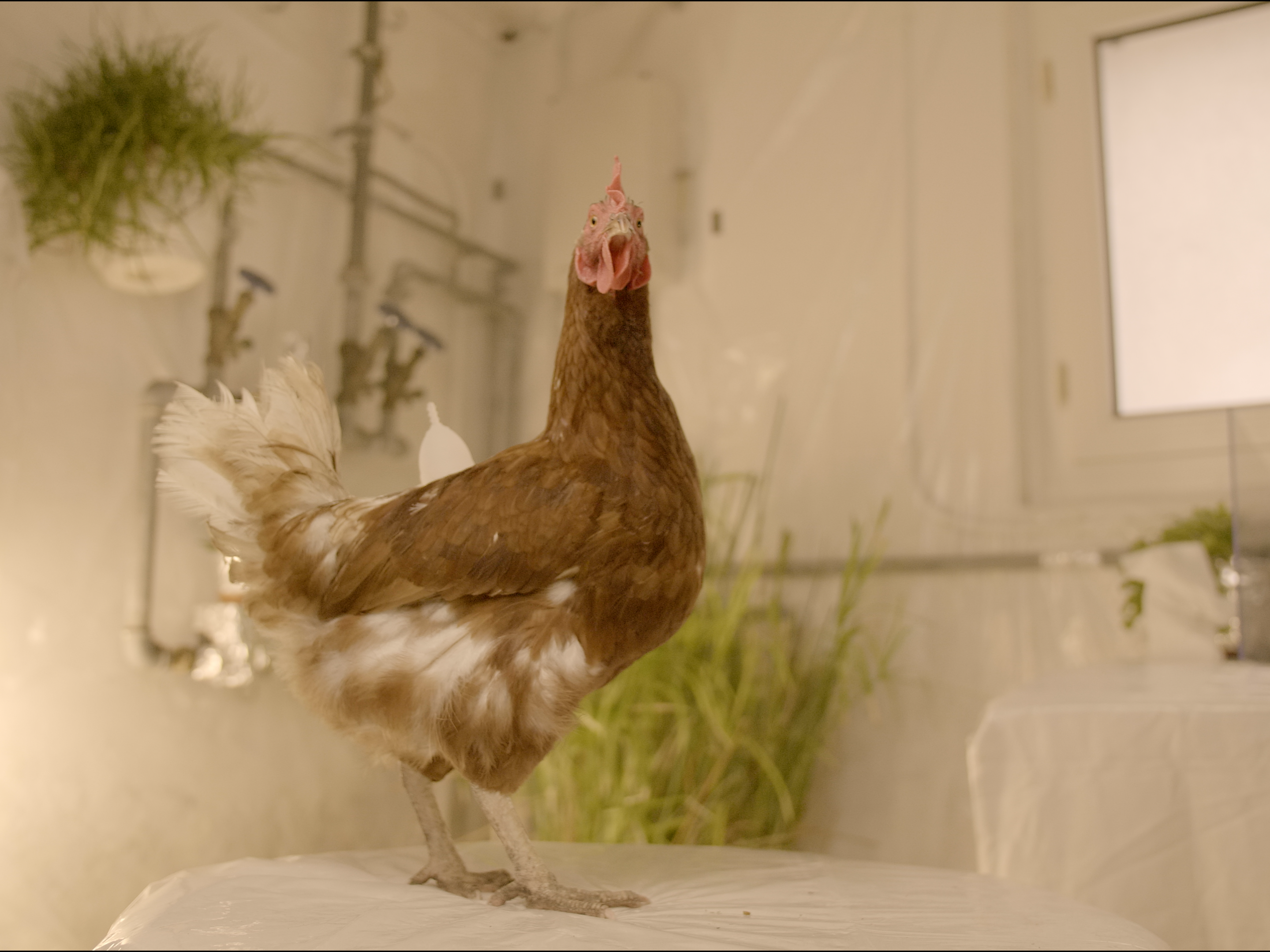 Filmstill «Postapokalyptischer Zyklus»