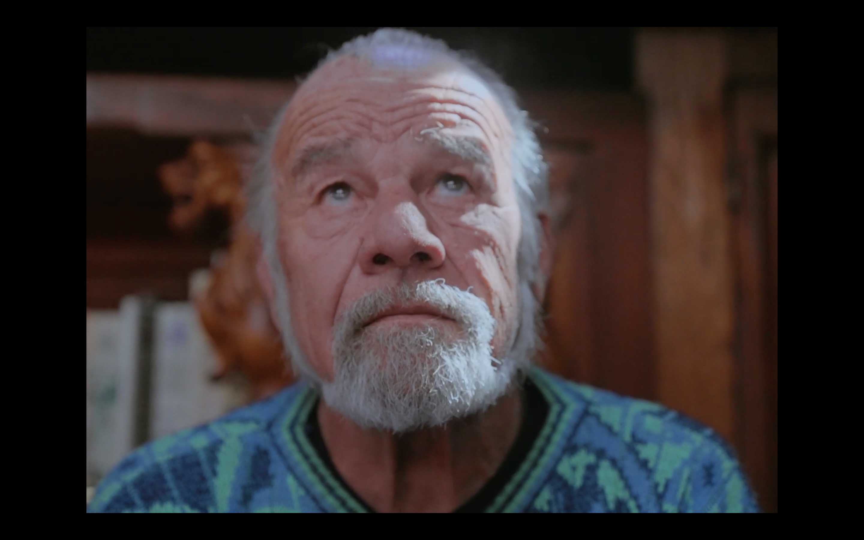 Filmstill «Le temps des Silures»