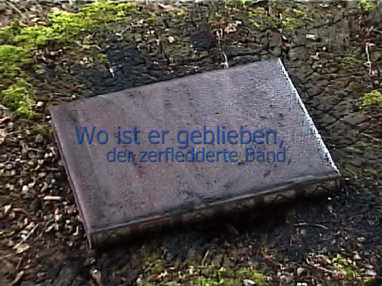 Photogramme «Frühschriften»