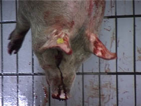 Filmstill «Stairway to heaven»