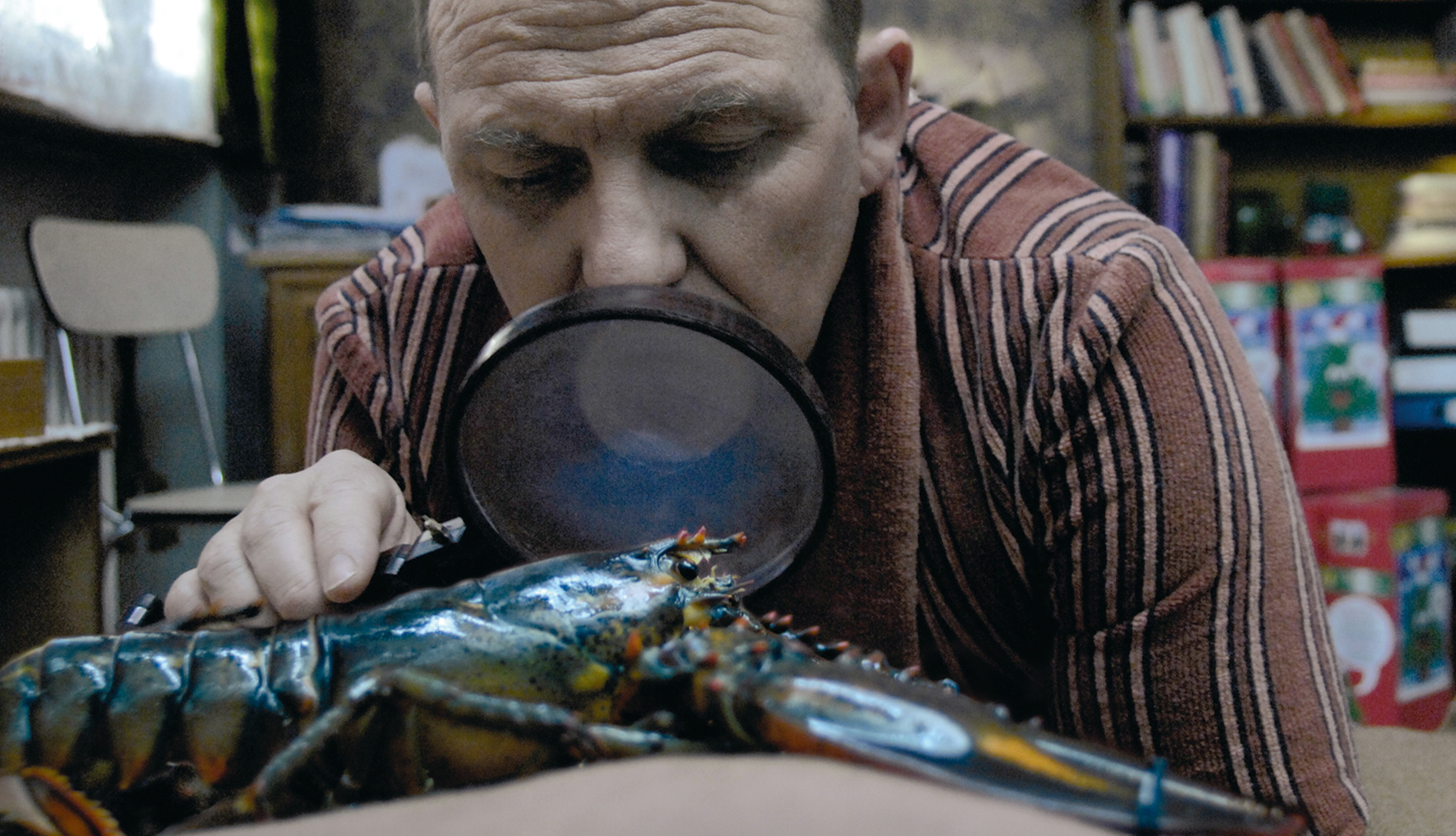 Filmstill «Eine Geschichte mit Hummer»