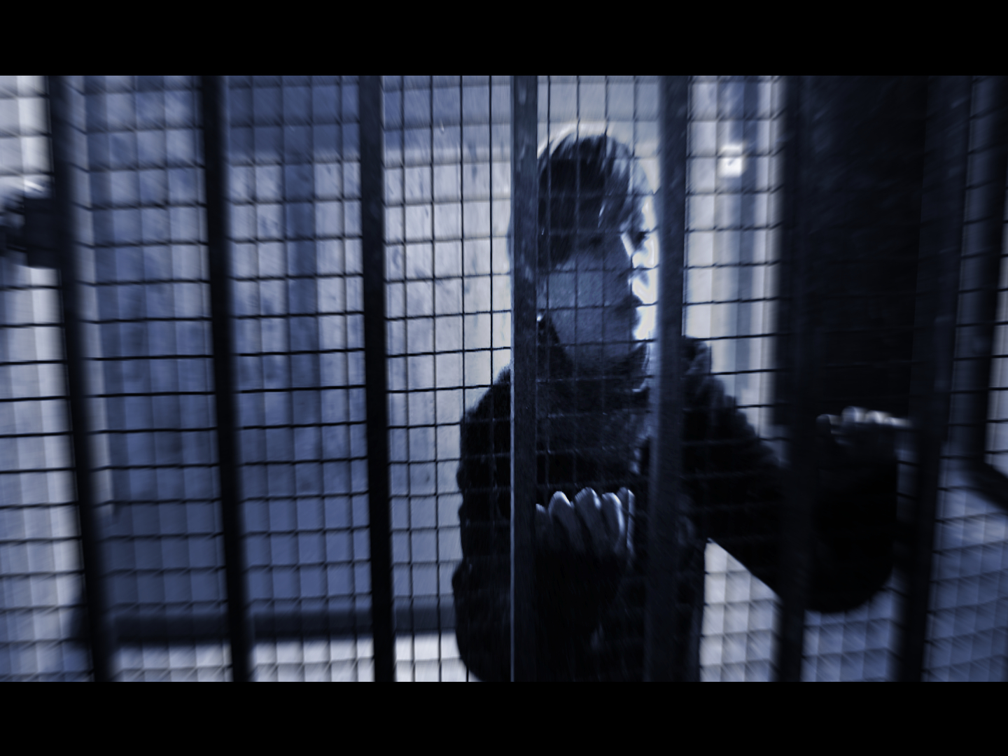 Filmstill «Energy Savers»