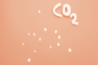 Filmstill «Heizen mit Holz schützt das Klima»