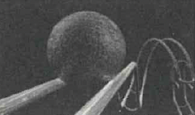 Filmstill «Kaffeemaschine»